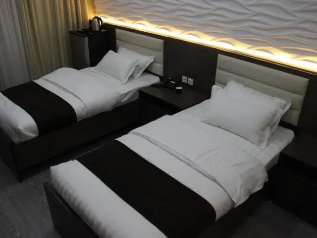 SAFIR BUSINESS HOTEL o 第 3 张照片（共 10 张）