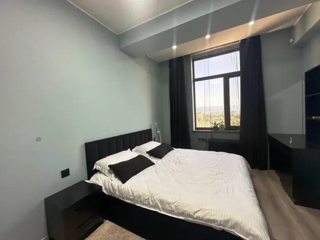 Downtown Comfort Suite 第 2 张照片（共 9 张）
