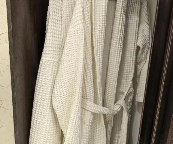 Dushanbe Green Hotel 第 9 张照片（共 10 张）