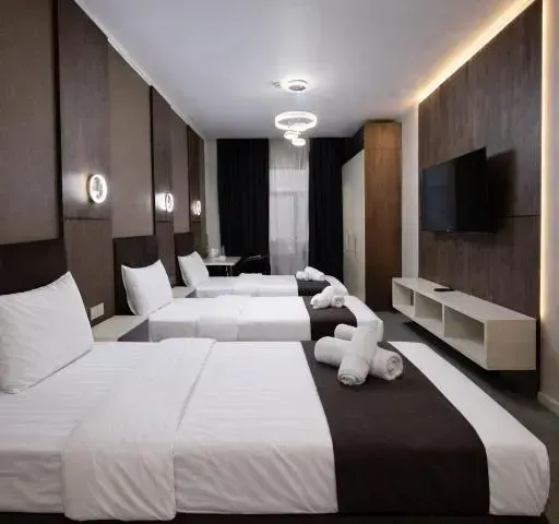 BALAND HOTEL DUSHANBE 第 8 张照片（共 10 张）
