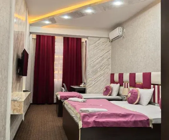 Dushanbe Green Hotel 第 4 张照片（共 10 张）