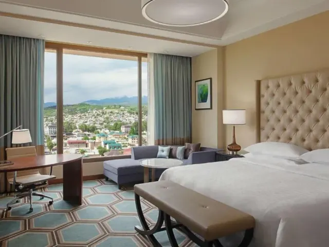 Hilton Dushanbe 第 10 张照片（共 10 张）